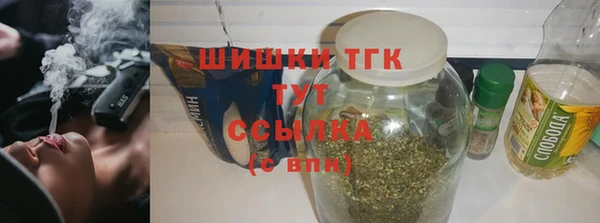 прущие грибы Вязники